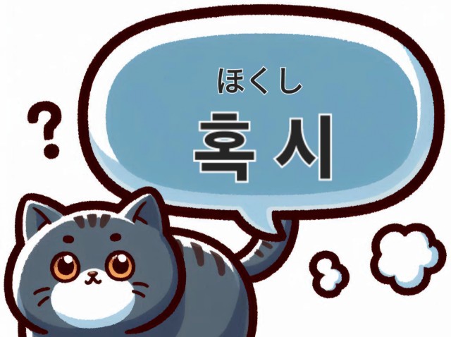 韓国語の혹시（ホクシ）の使い方